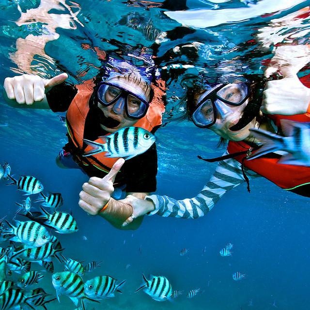 Ống Thở Snorkel Lặn Biển Ngăn Sặc Nước Legaxi