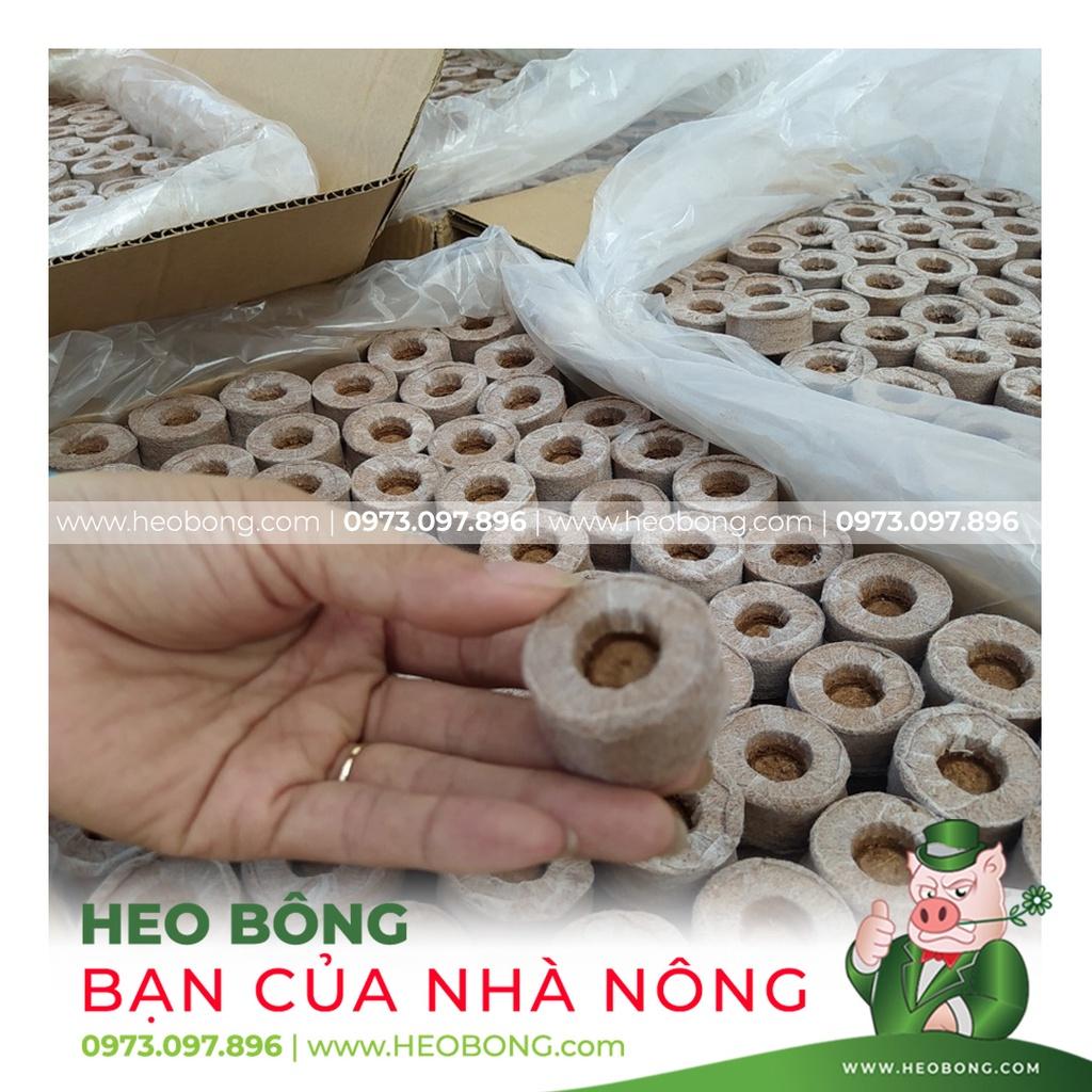 VIÊN NÉN XƠ DỪA - Ươm hạt tiện lợi