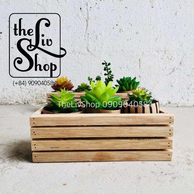 Chậu gỗ trồng cây