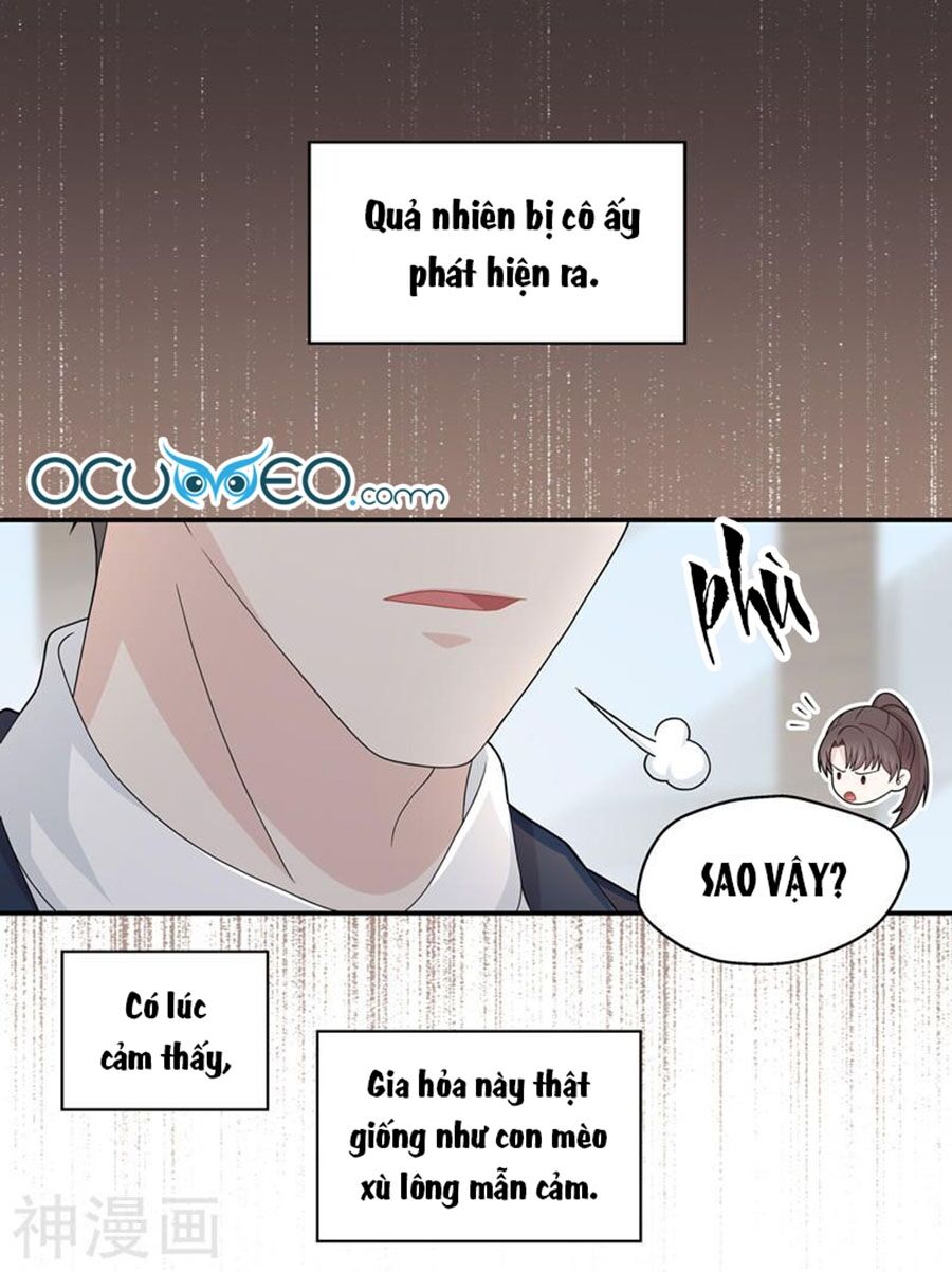 thiên kim bất lương chapter 38 1