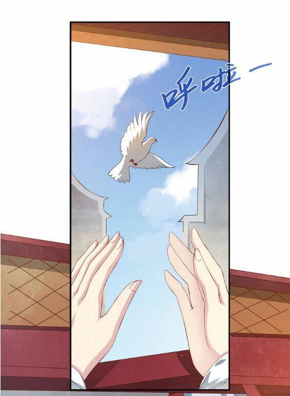 tuấn sủng có độc chapter 4 4