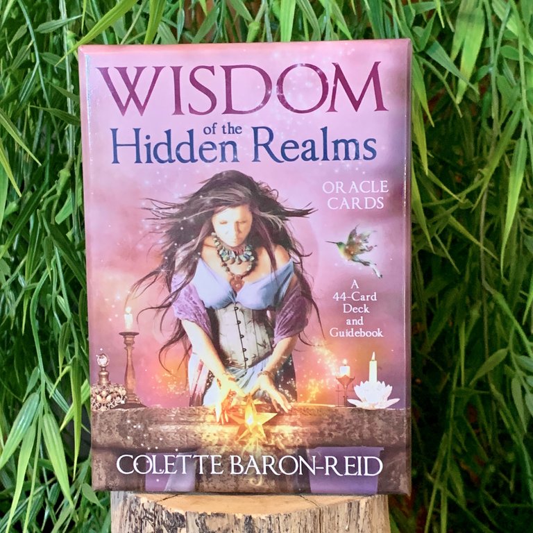 Bộ Bài Bói Tarot Wisdom Of The Hidden Realms New Đẹp