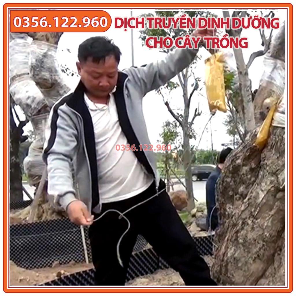 Dịch truyền dinh dưỡng cho cây trồng - dùng cho cây cảnh, cây công trình