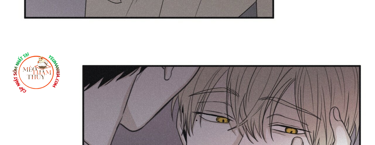 chiếu tướng chapter 44 38