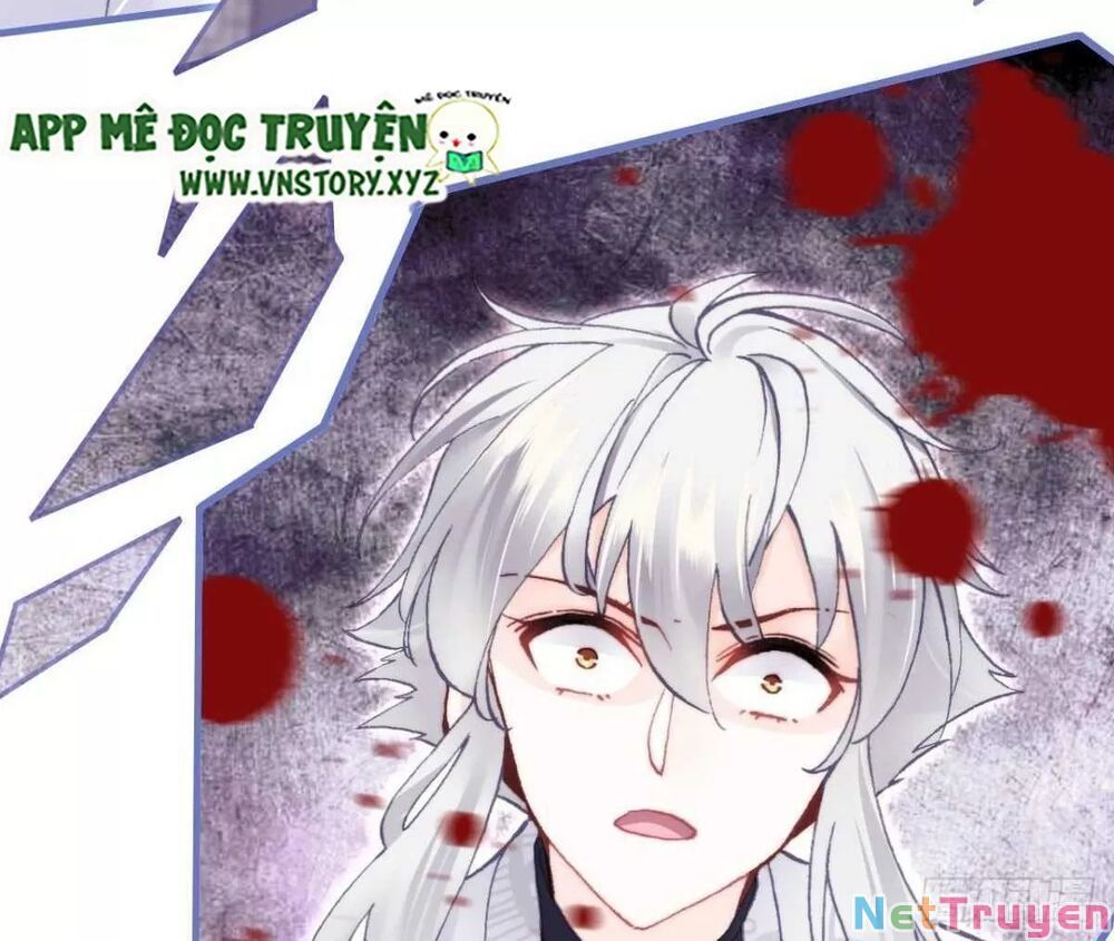 lại bị bệnh chiều chuộng quấn lấy chapter 66 23