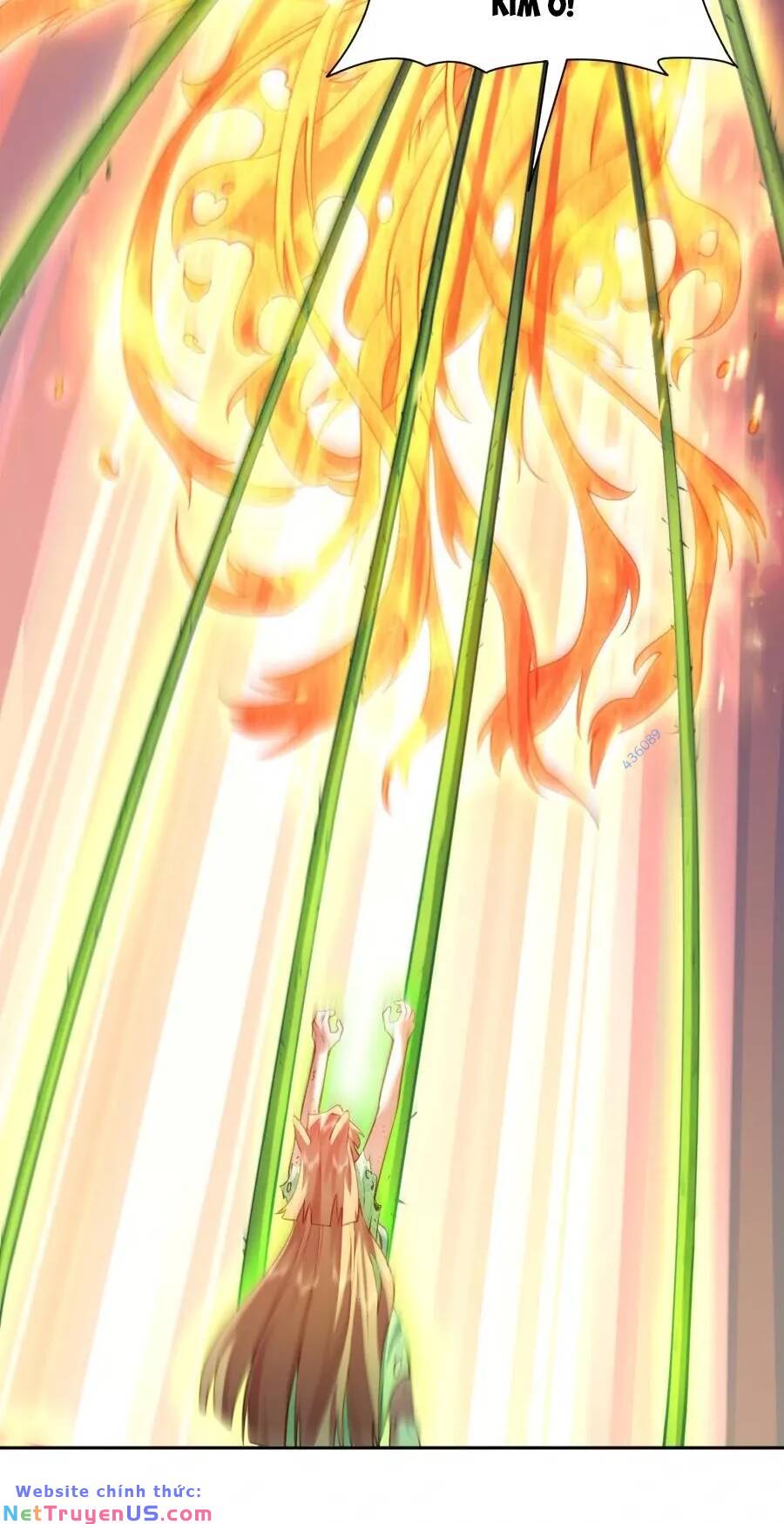 bói toán mà thôi, cửu vĩ yêu đế sao lại thành nương tử ta?! chapter 28 15