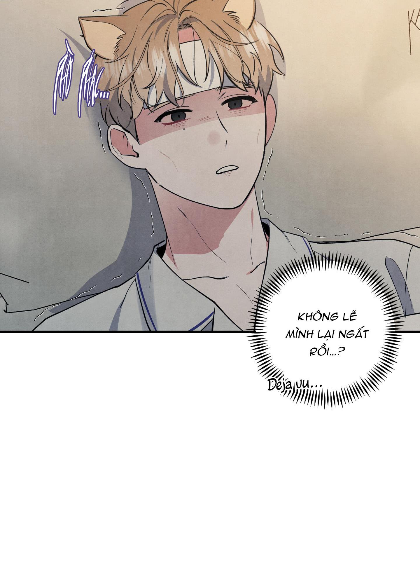 mối quan hệ ngu ngốc chapter 52 44