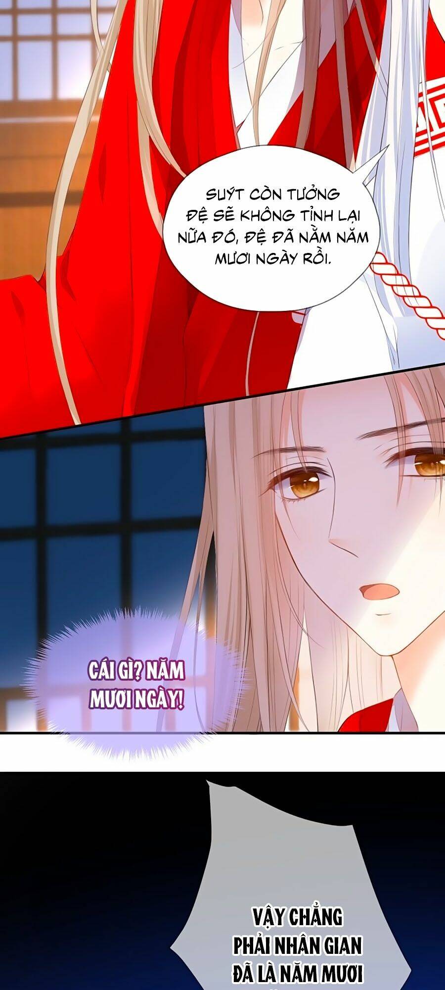 đóa hoa chớm nở chapter 75 4