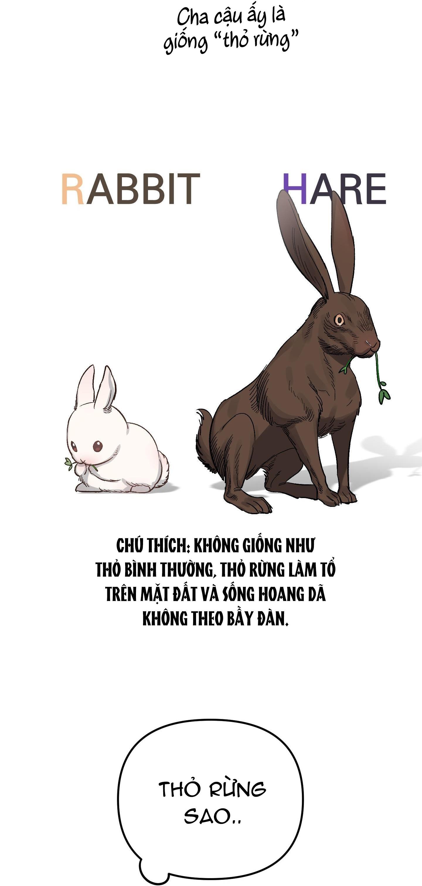 chú thỏ chỉ cần 3 giây là xuất tinh chapter 2 39