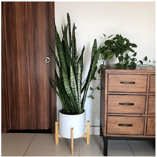 Kệ gỗ để chậu cây - Cho chậu đường kính 36 - 38 cm
