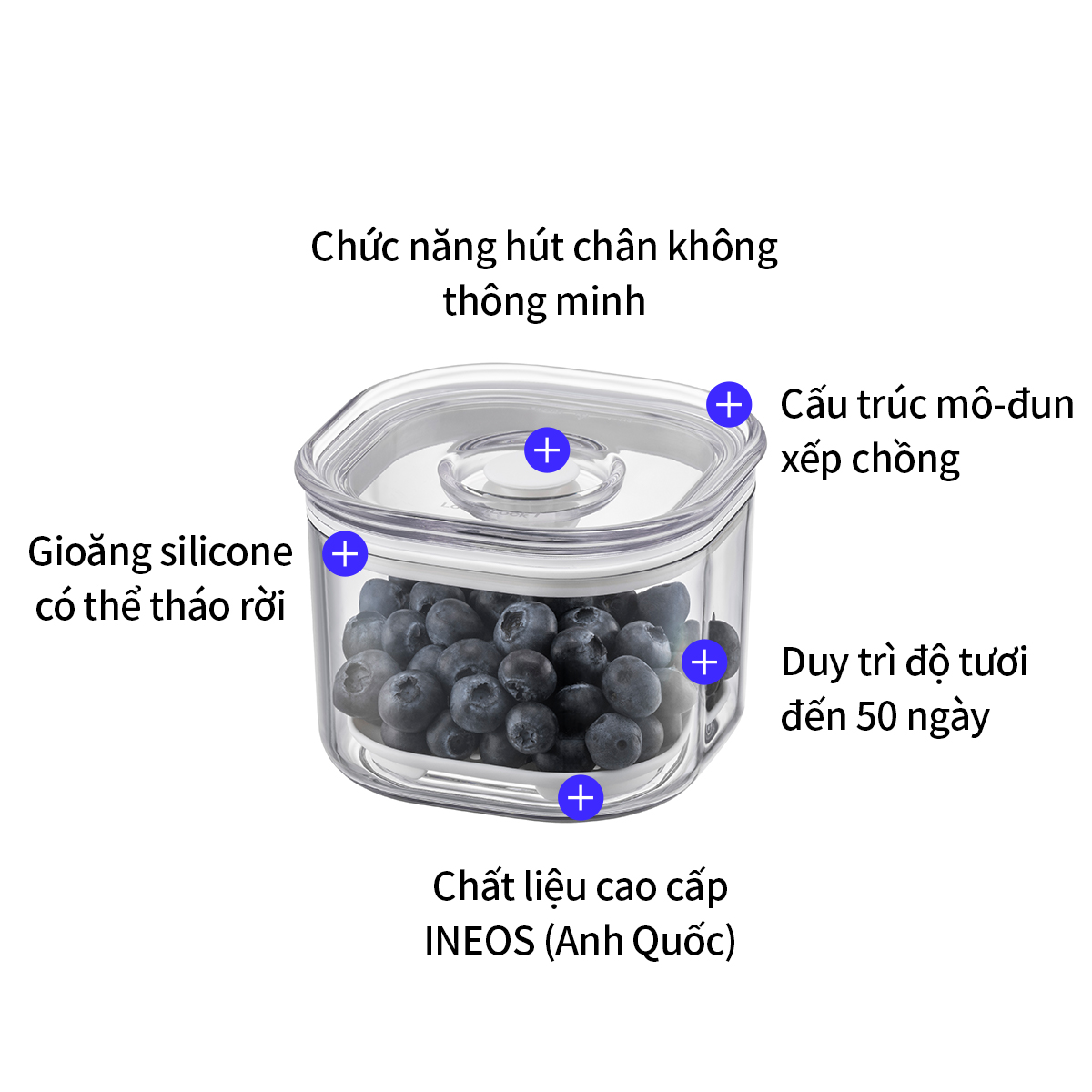 Bộ Máy Hút Chân Không Và Hộp Bảo Quản Thực Phẩm LocknLock 7 Món LVC401S7, Hàng Chính Hãng - JoyMall