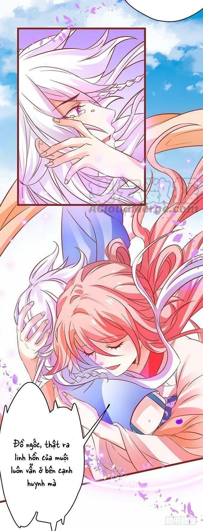 hồ tiên hung bạo chapter 47 25