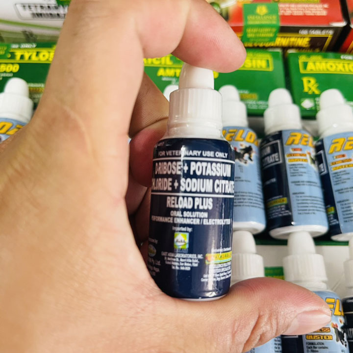 Reload Plus 15ml - Chống Rớt Bo Cho Gà Đi Xa-Vận Chuyển Lâu