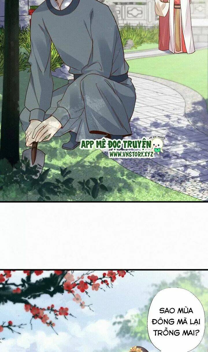 thiên hương mỹ nhân chapter 124 17