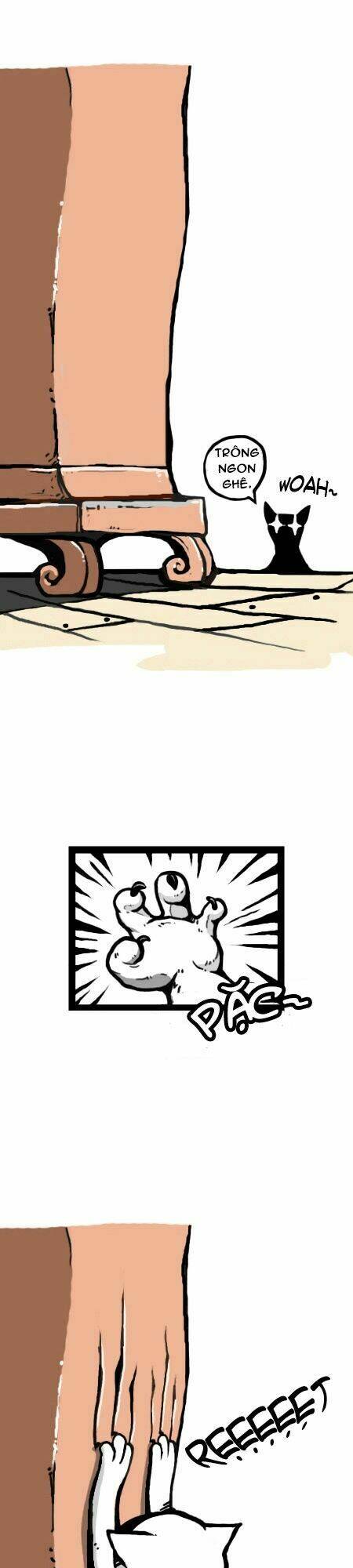 earth, human, and animal chapter 12 12