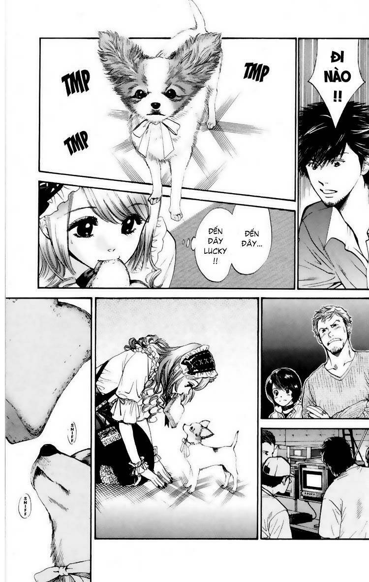 cô nàng yêu chó chapter 15 5