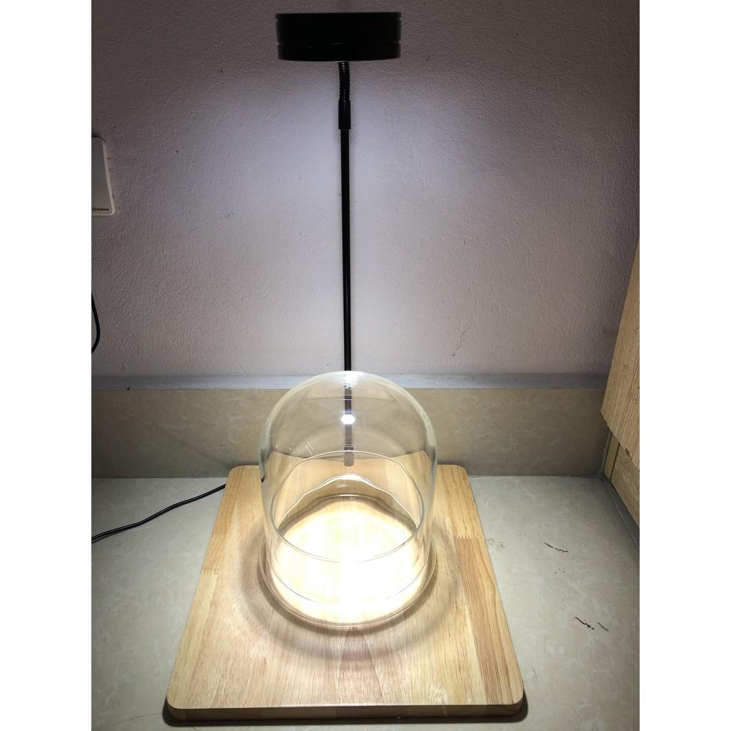 Combo Bình Terrarium, Đèn đế gỗ 3W, 1 tấc Rêu Weeping,03 ngọn Rêu đầu trắng, phân nền trộn dớn, 02 món trang trí