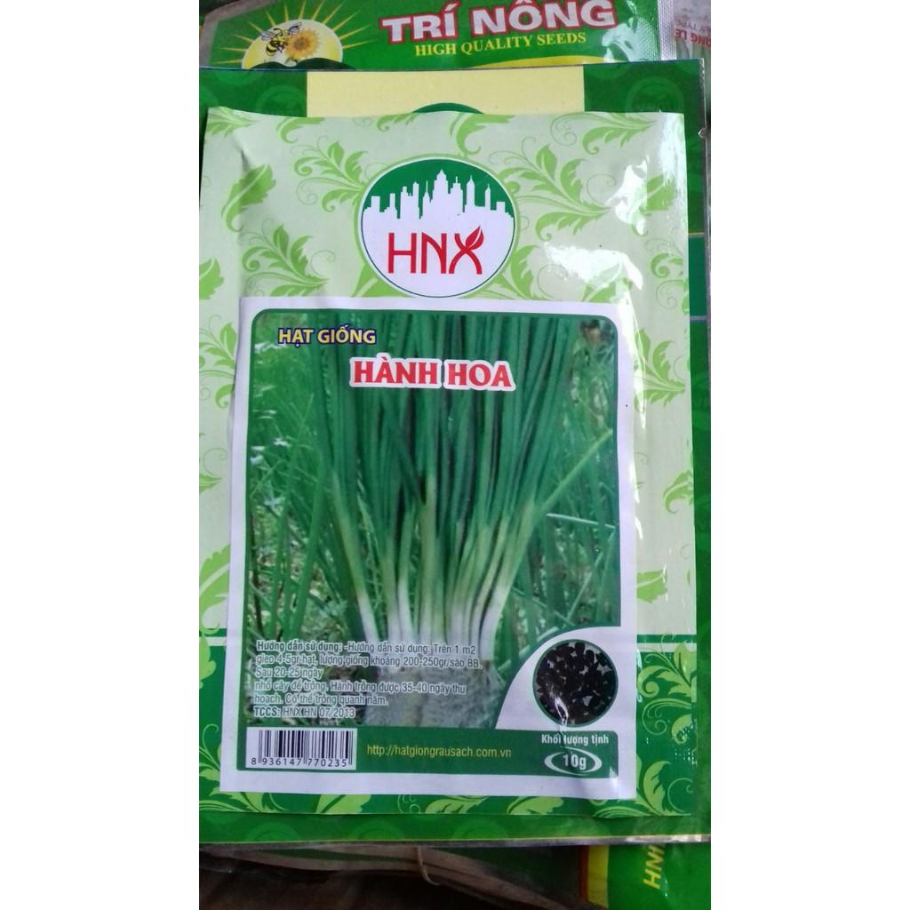 Hạt giống hành hoa gói 10g