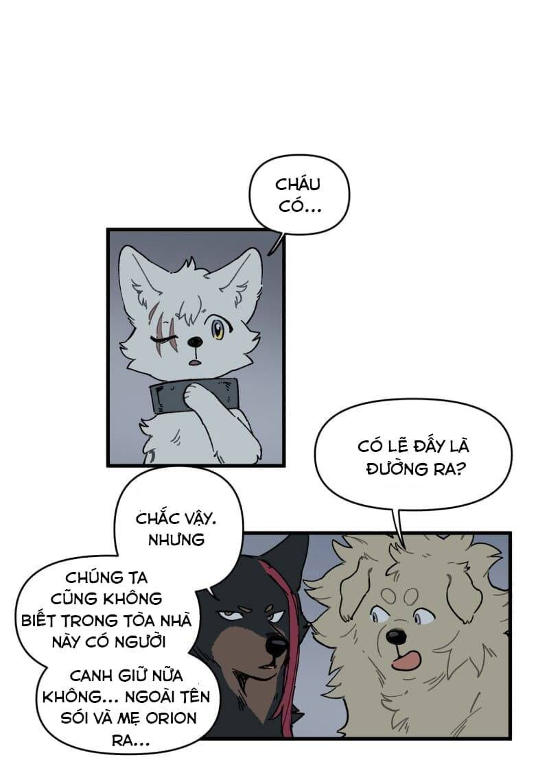 lumine - cội nguồn ánh sáng chapter 145 31