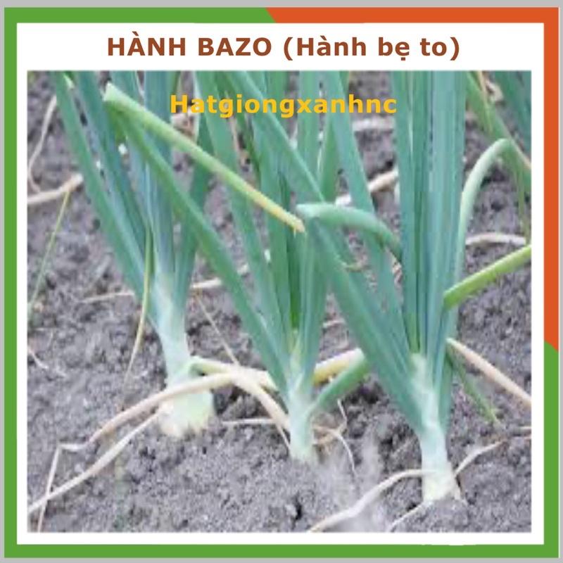 Hạt giống hành bazo lá cọng trắng khổng lồ Egrow, gói 5gr