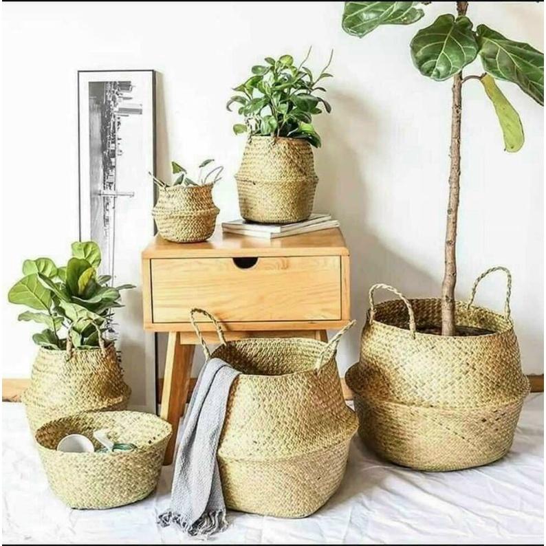 Giỏ cói 23cm để cây, cắm hoa