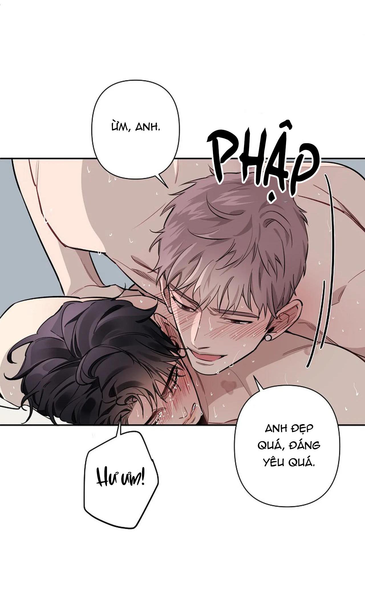 đêm dịu dàng chapter 52 5