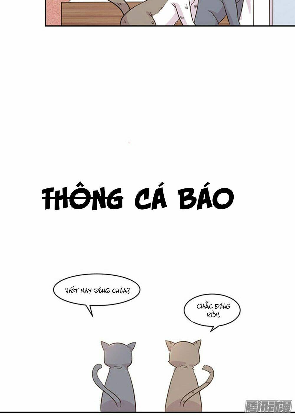 hai chú mèo totem chapter 18 17