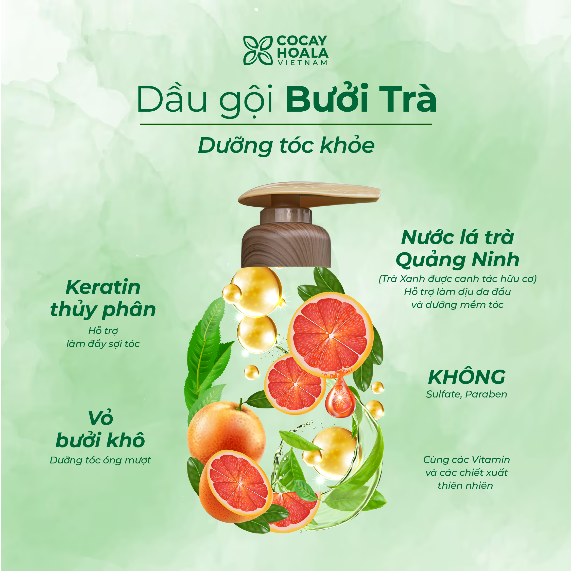 Dầu Gội Xả Hữu Cơ Bưởi Trà COCAYHOALA VIETNAM, Dưỡng Tóc Chắc Khỏe, Mềm Mượt Tự Nhiên- Dung Tích 350gr