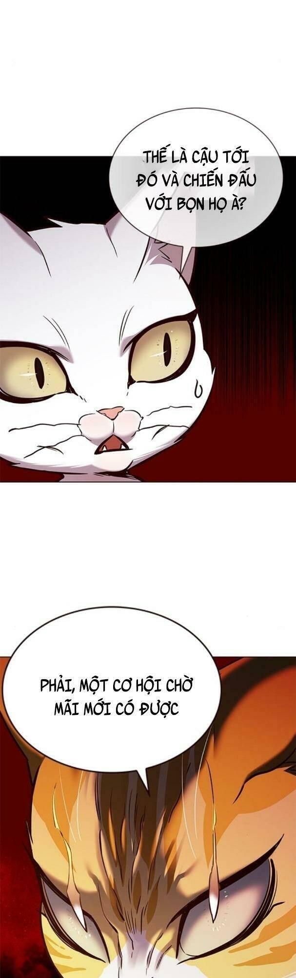 biến thân thành mèo chapter 180 34