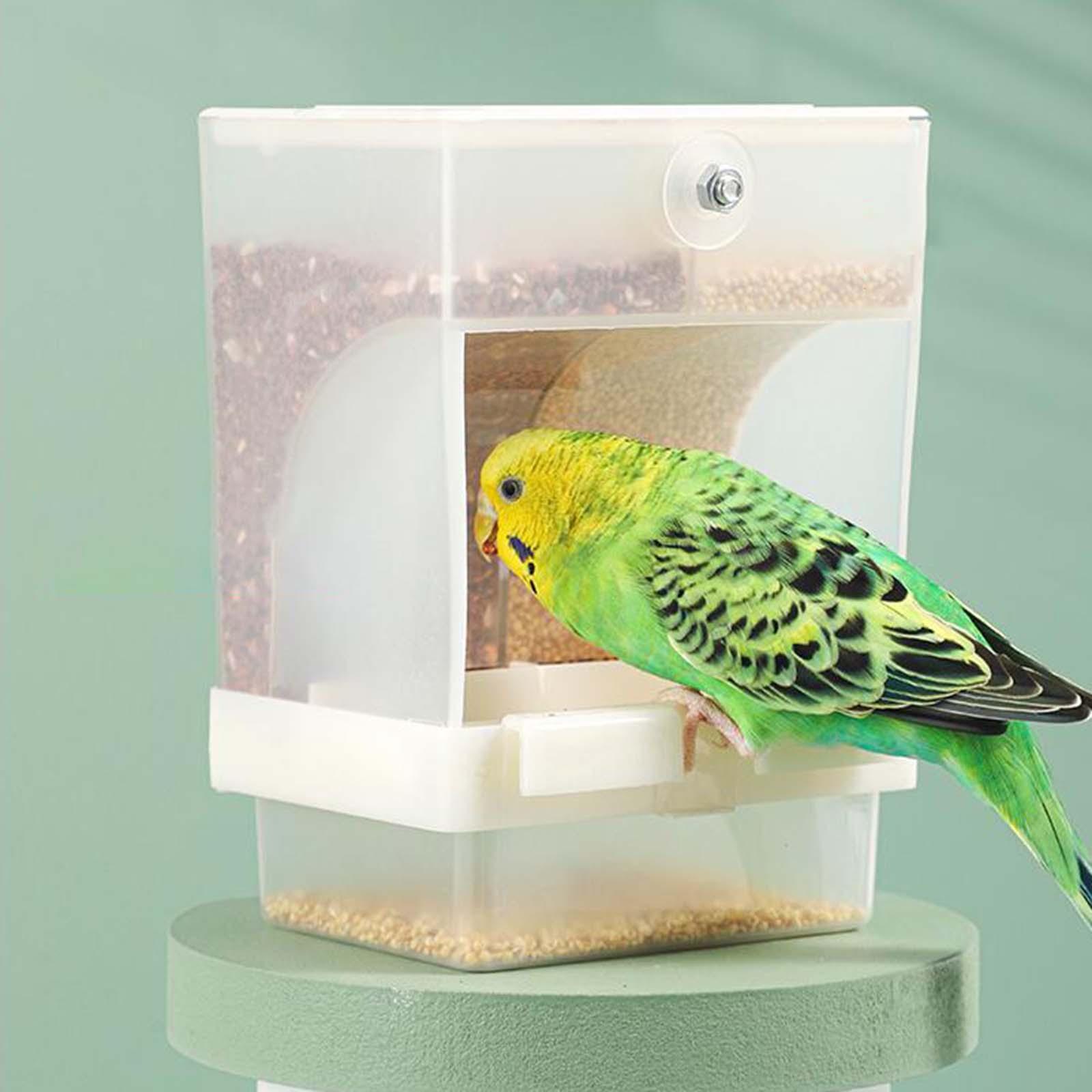Automatic Bird Feeder Parrot Seed Feeder Pet Feeder for Parakeet Lovebirds