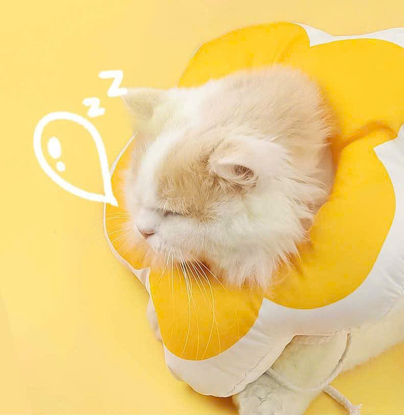 VÒNG CỔ THÚ CƯNG VÒNG CỔ LOA CHỐNG LIẾM CHO THỎ CHÓ MÈO BÔNG HOA DỄ THƯƠNG TỪ 0.5-5.5KG MÃ 10 CHO CHÓ MÈO THỎ