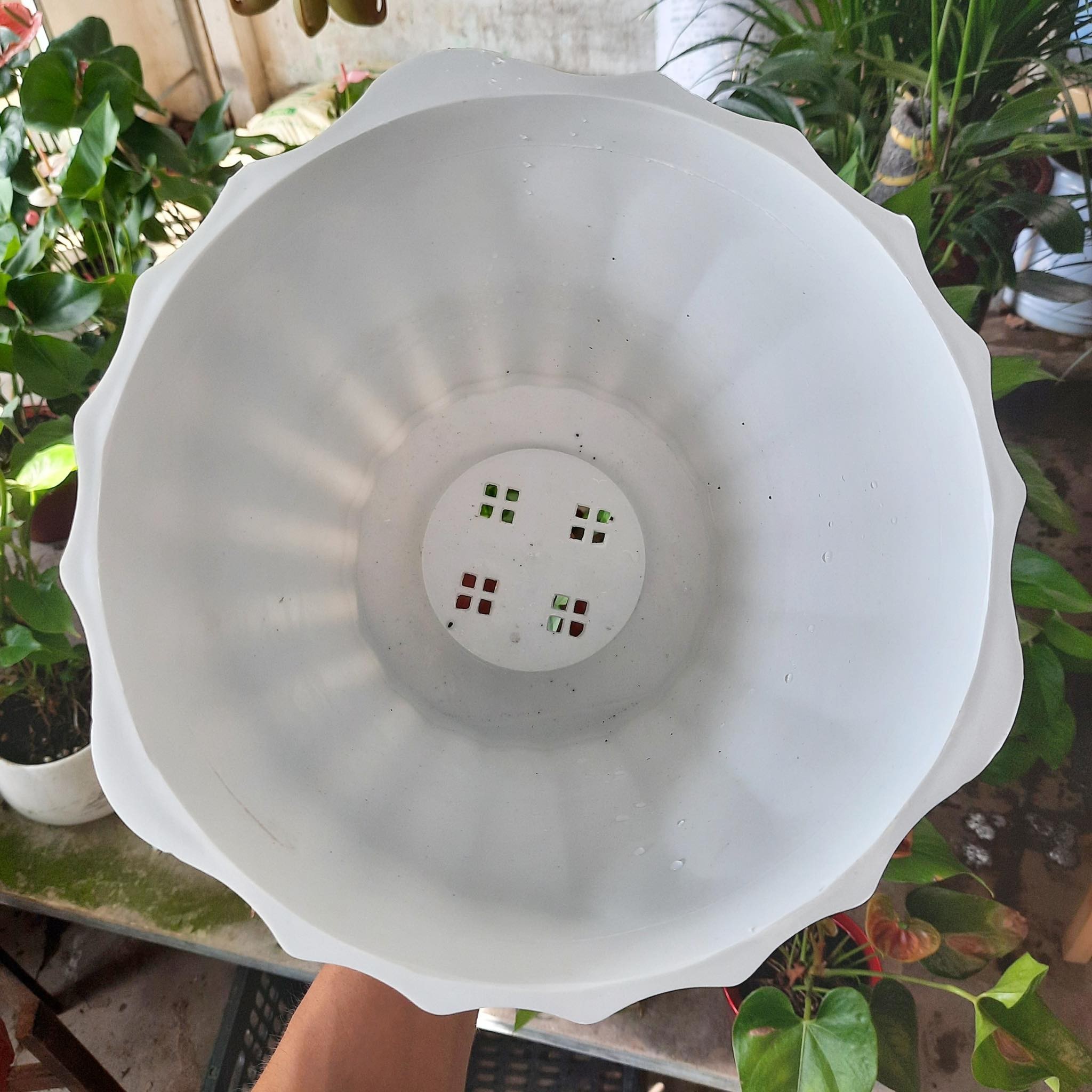 Chậu nhựa mini 2 size