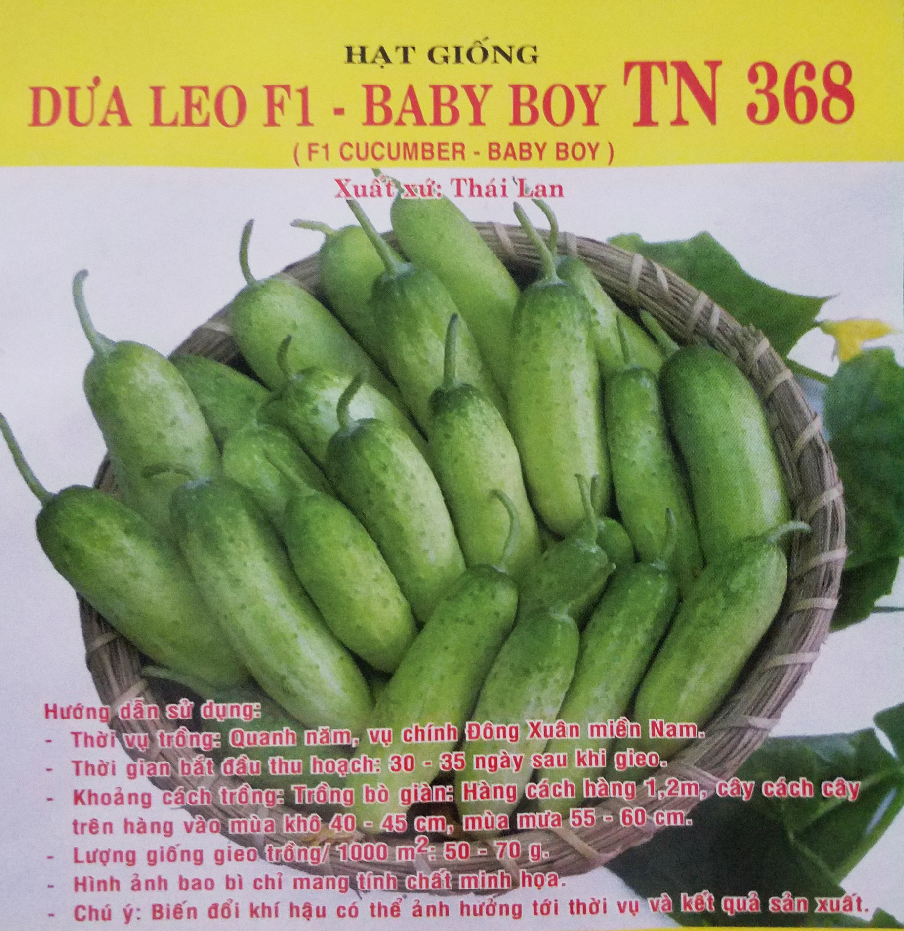 Hạt giống Dưa leo F1 - Baby Boy TN 368 (1g/gói) | F1 Cucumber Seeds