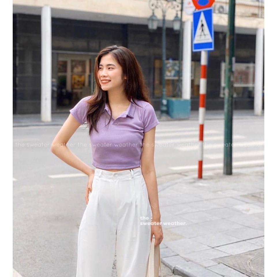 Áo Croptop Nữ Cổ Polo Siêu Xinh Ba Màu Croptop Polo basic nữ So Hot