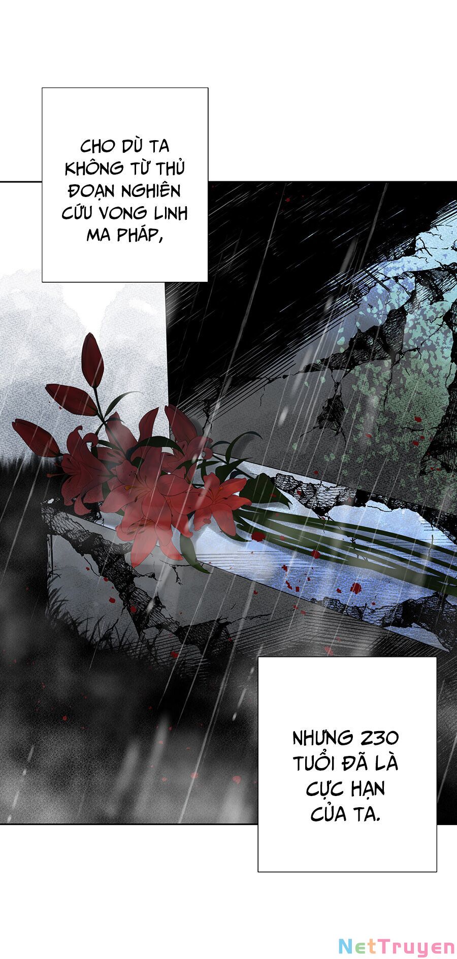 bản giáo chủ thân bất do kỷ chapter 34 12