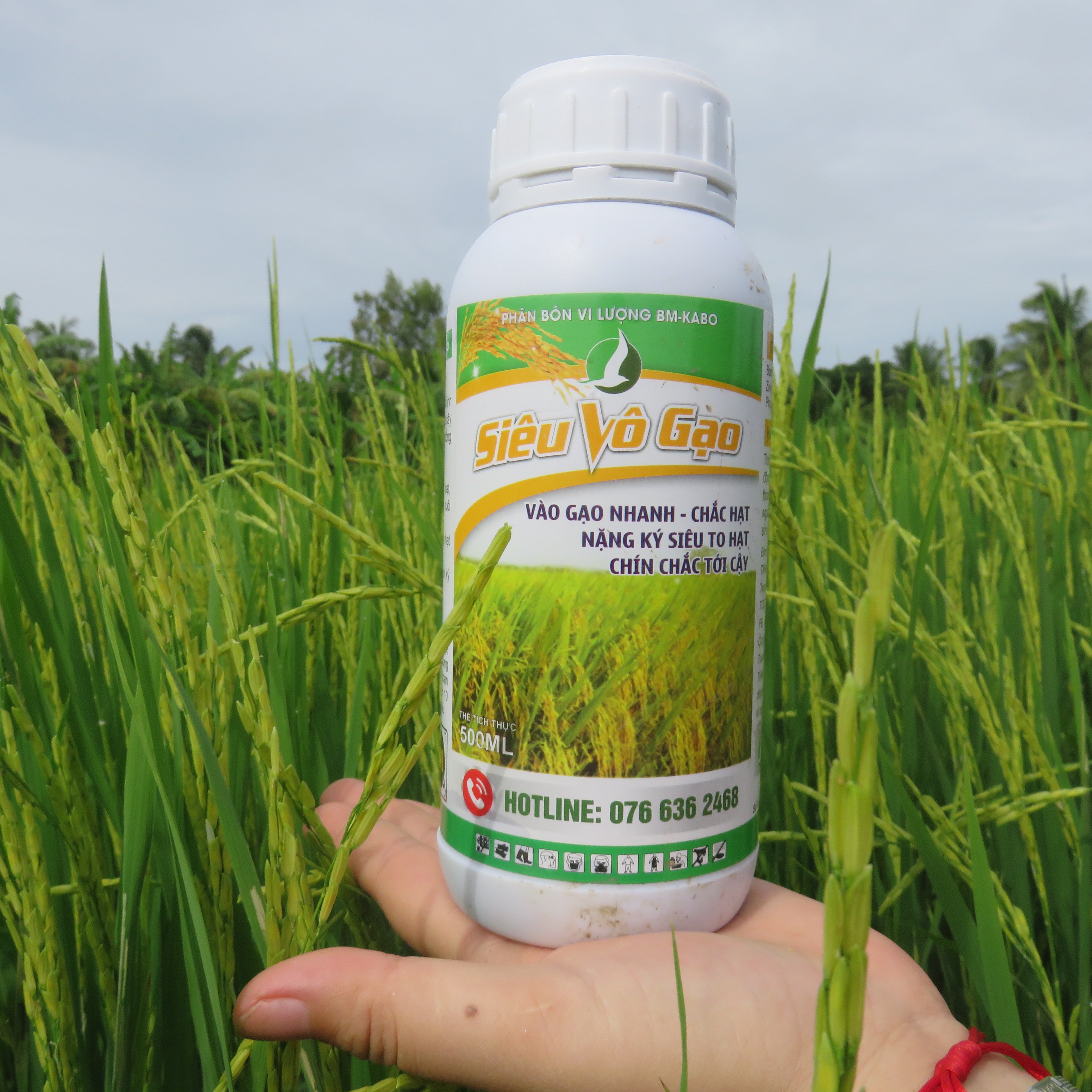 Phân bón siêu vô gạo, Vô gạo cực nhanh, hạn chế lép hạt. Cứng lá, cứng cây, hạn chế đổ ngã