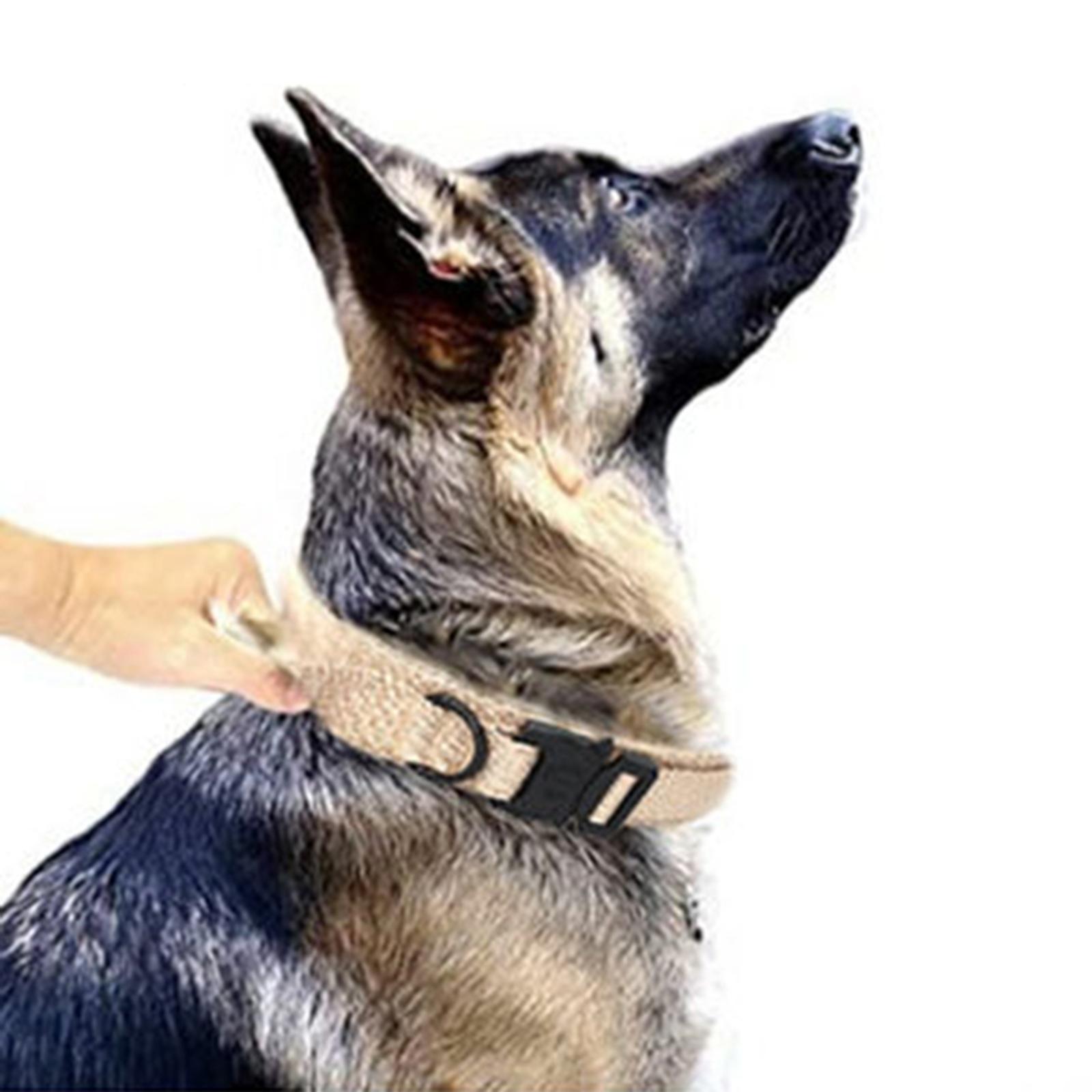 And Leash Set with Handle w/ Metal Buckle Adjustable