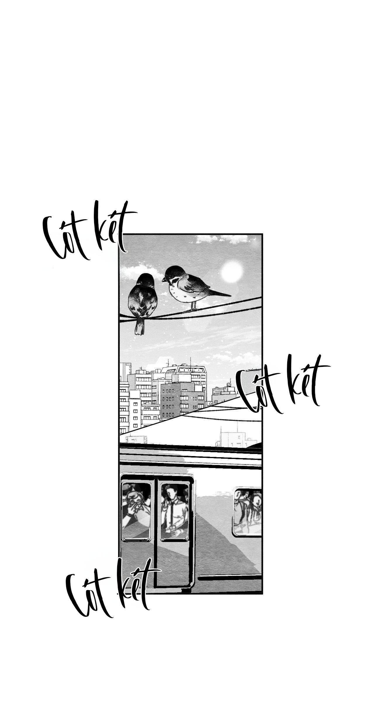 vóc dáng toàn mỹ chapter 22 1