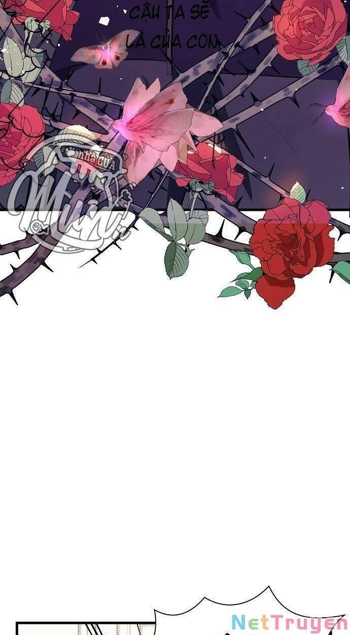 tôi không cố ý quyến rũ nam chính đâu! chapter 48 5