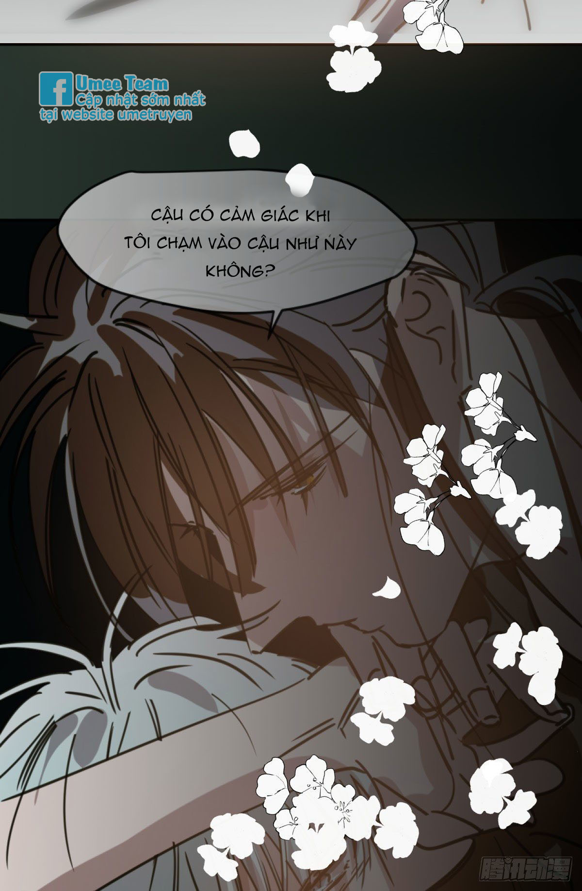 bắt lấy ngao ngao chapter 47 55