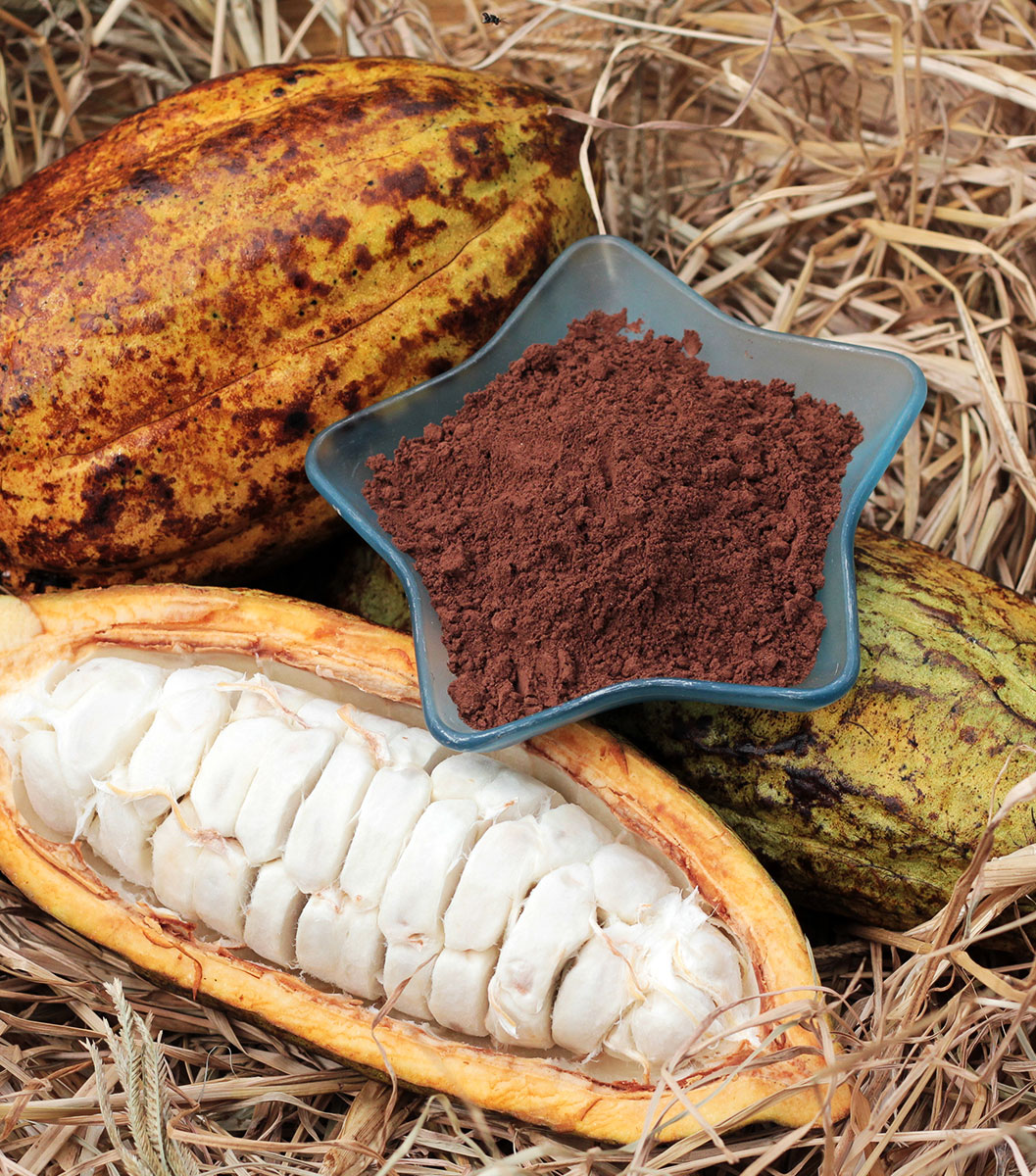 Bột Ca Cao Nguyên Chất CacaoMi Original - 500g