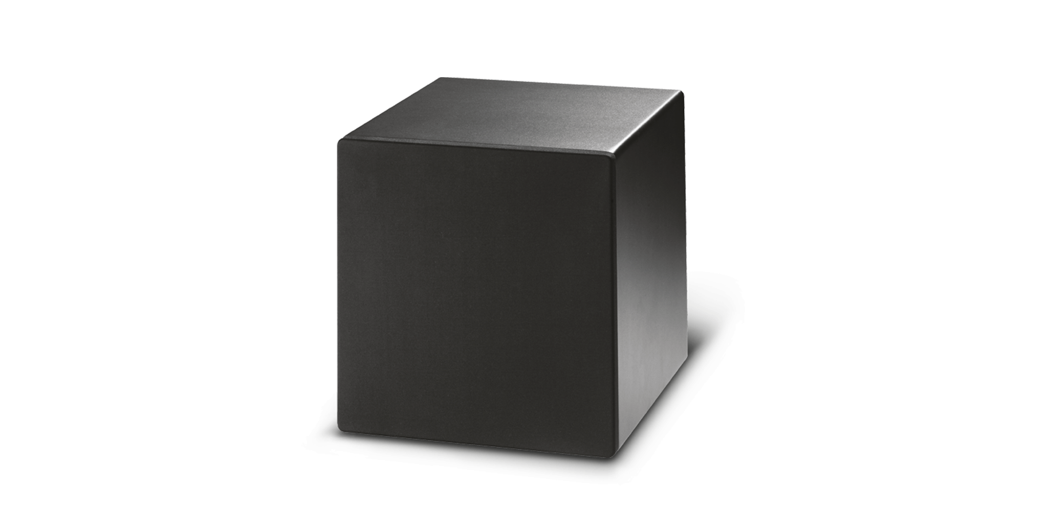 PROJECT 1020SA Loa sub liền công suất 150W RMS 10inch FBT - hàng chính hãng