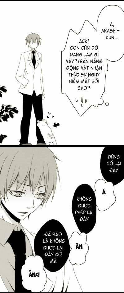 akakuro s-doujinshi chapter 19 4