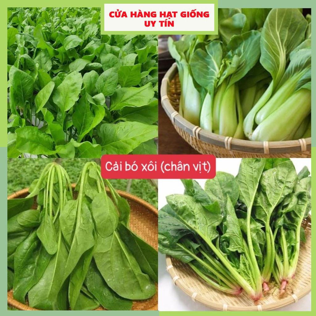 Hạt Giống Cải Bó Xôi F1 Loại dễ trồng, năng suất cao, kháng sâu bệnh