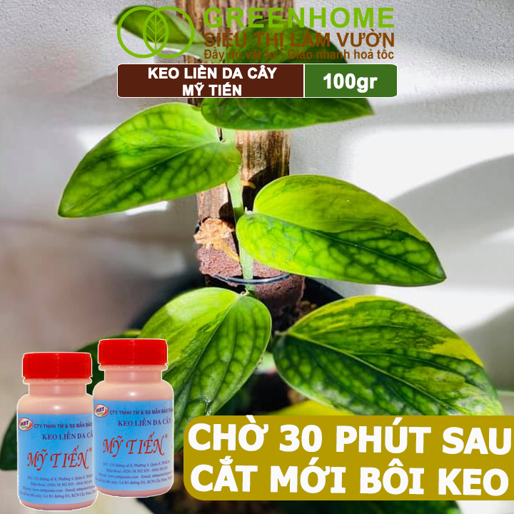 Keo Liền Sẹo Cho Cây Greenhome, Mỹ Tiến, Chai 100gr, Liền Nhanh Vết Cắt Da Cây, Chiết Cành, Tạo Dáng Bonsai, Lan, Kiểng