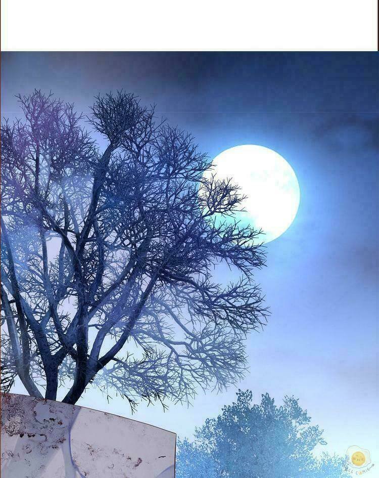 nở rộ trên bụi gai chapter 2 26