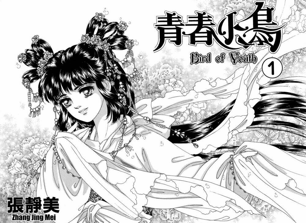 bird of youth chapter 1 4