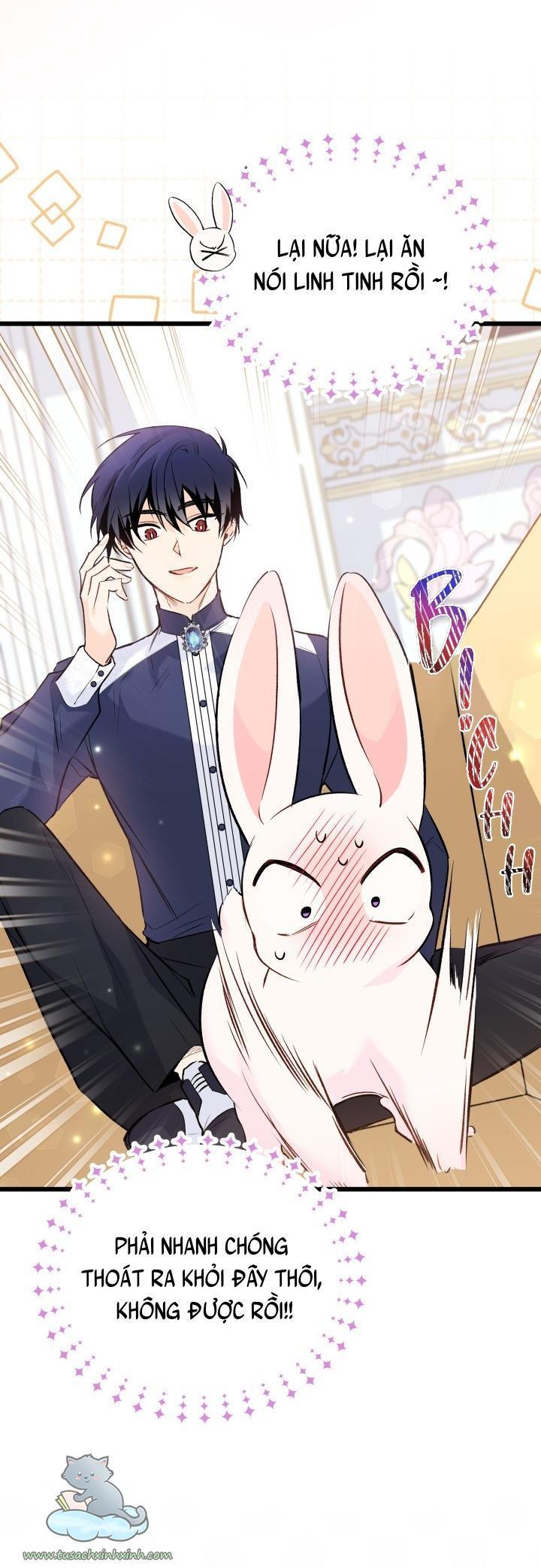 quan hệ cộng sinh giữa báo đen và thỏ trắng chapter 56 76