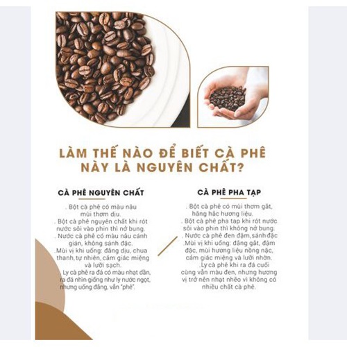 Cà phê hòa tan Taro Coffee 4in1 - Cà phê khoai môn (18g x 50 gói) – Meet More Coffee