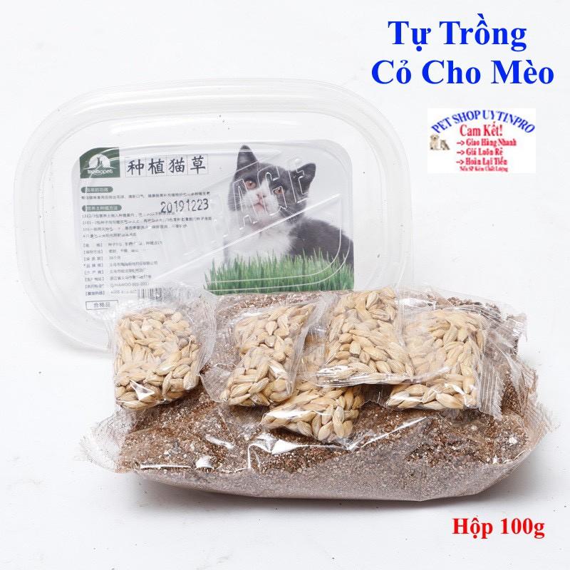 Bộ trồng cỏ lúa mạch tươi cho mèo giúp kích thích tiêu hóa vàxử lý búi lông trong ruột mèo hộp 100g